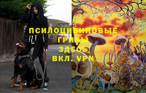 скорость Россошь